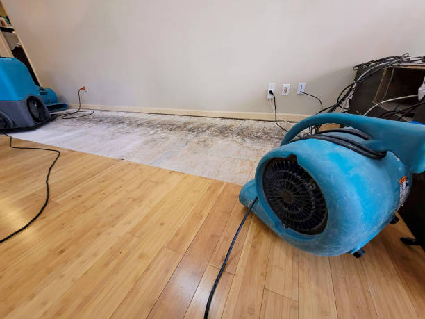 Reliable Basement Flood Cleanup contractor in Clarksville, MD by Hirex Water Damage