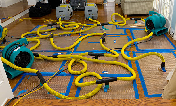 Professional Basement Flood Cleanup technician working in Clarksville, MD
